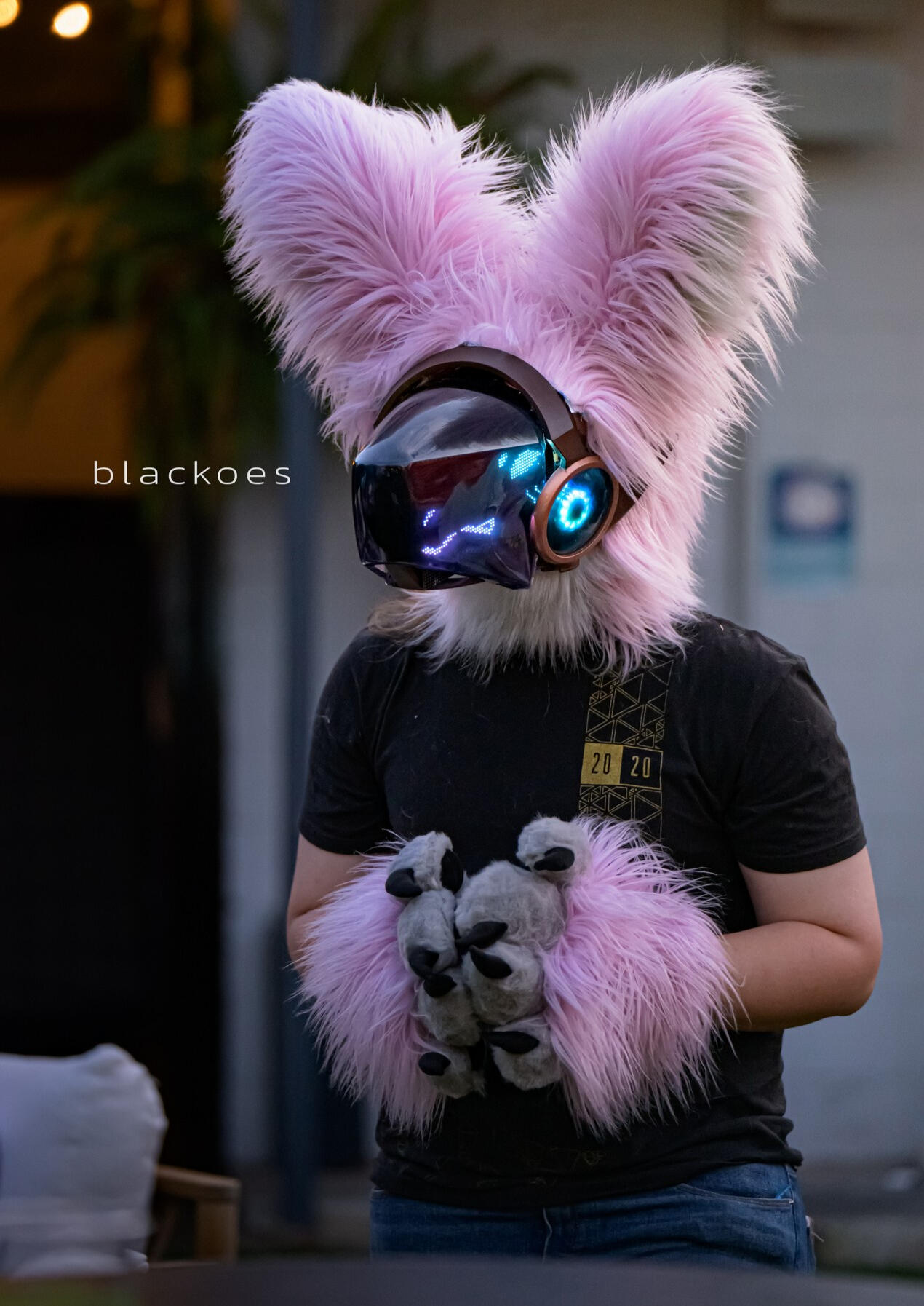 miathethickwolf (discord)