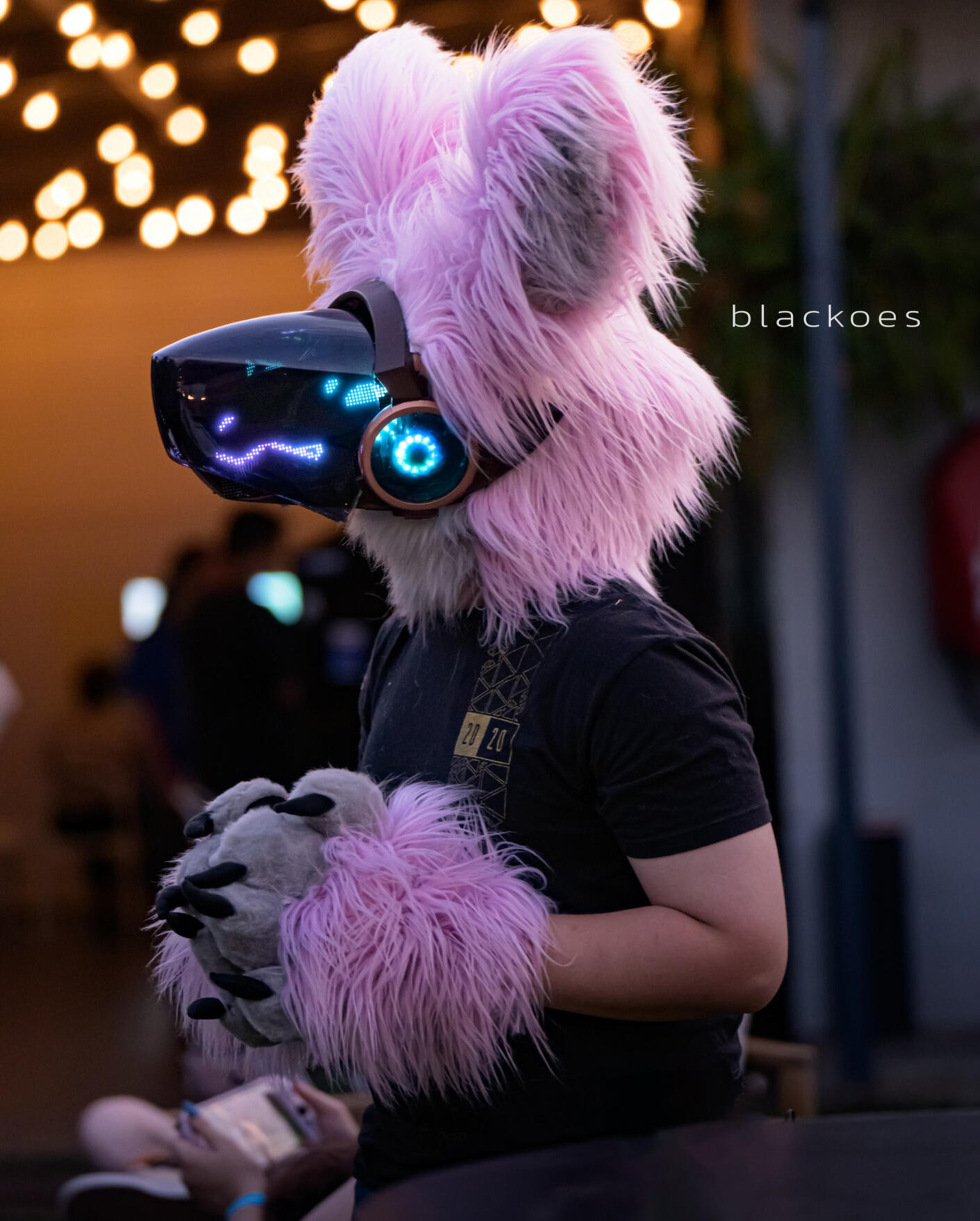 miathethickwolf (discord)