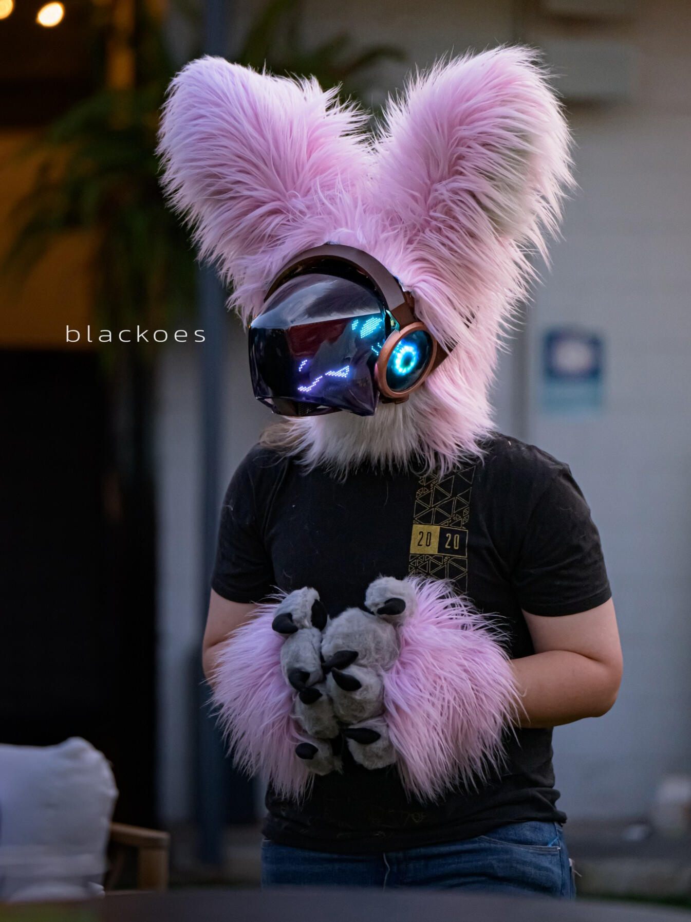 miathethickwolf (discord)